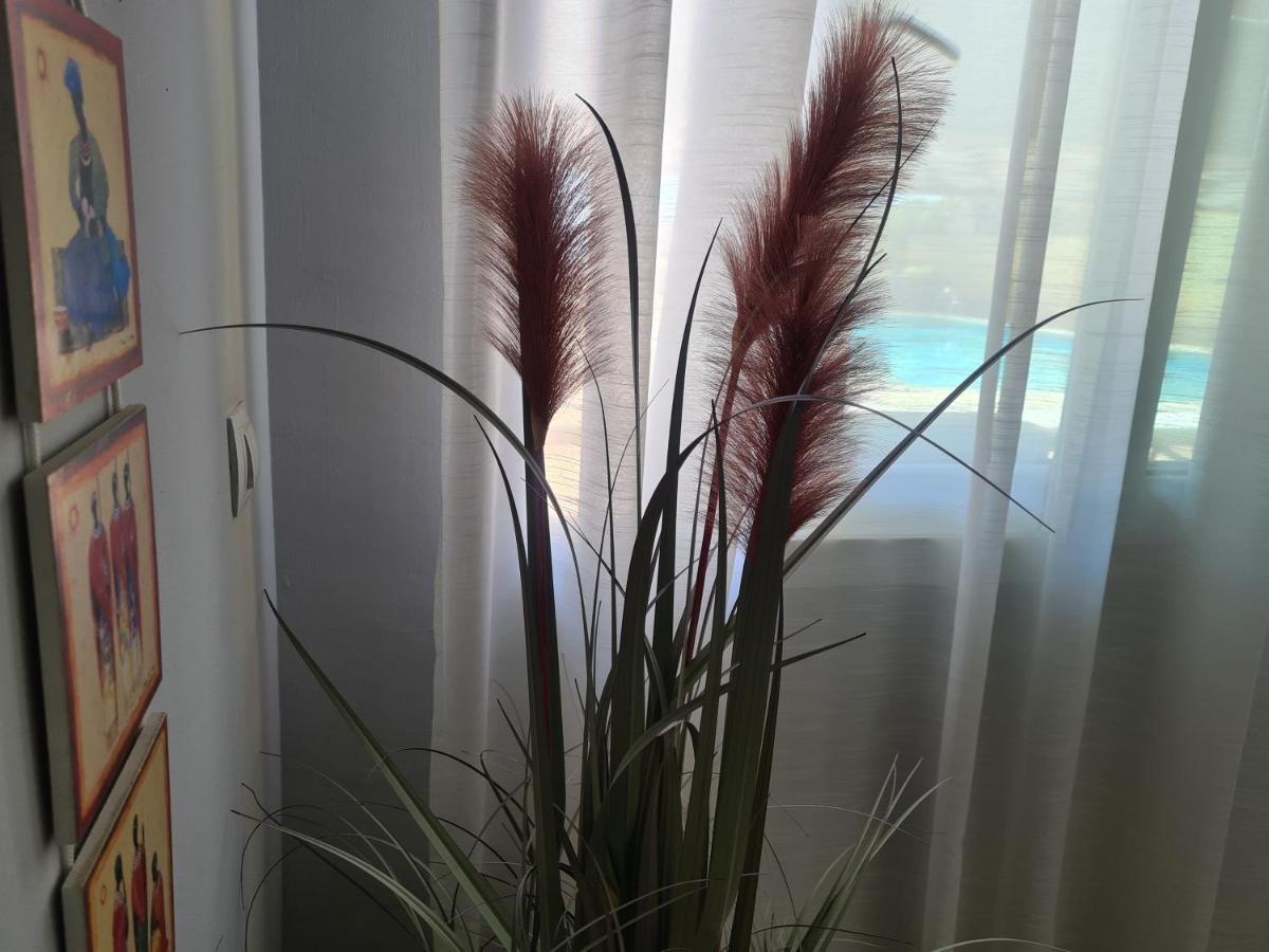 Apartamento El Remo Torremolinos Zewnętrze zdjęcie